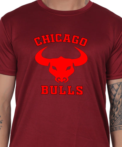 Chicago Bulls NBA Basketball Team Logo T-Shirt, Cotton, Short Sleeve, Regular Fit