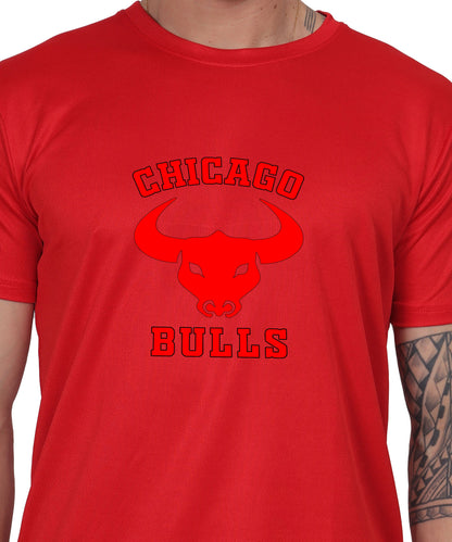 Chicago Bulls NBA Basketball Team Logo T-Shirt, Cotton, Short Sleeve, Regular Fit