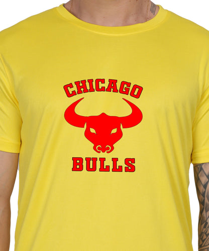 Chicago Bulls NBA Basketball Team Logo T-Shirt, Cotton, Short Sleeve, Regular Fit
